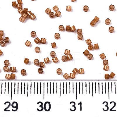 FGB 11/0 Grade A Baking Paint Glass Seed Beads X-SEED-S030-1146-1