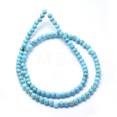 Natural Magnesite Beads Strands TURQ-G148-07-4mm-1