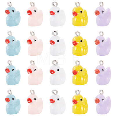 20Pcs Opaque Resin Pendants RESI-TADJ0001-09-1