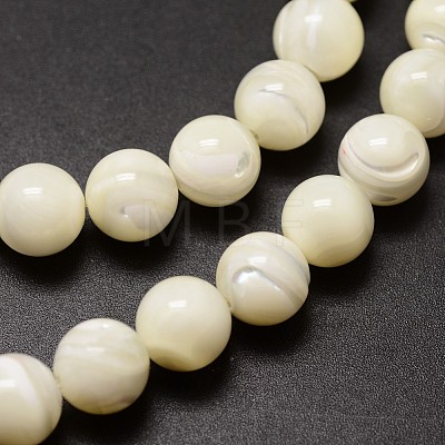 Shell Beads Strands SSHEL-E571-39-4mm-1