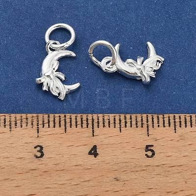 925 Sterling Silver Moon with Bowknot Charms STER-P071-05S-1