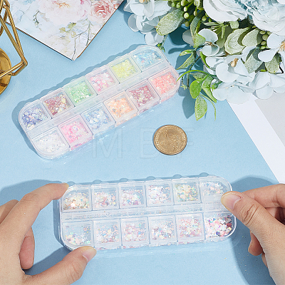 12-grid PET & Aluminum & ABS & Styrene Nail Art Decoration MRMJ-SP0001-31-1