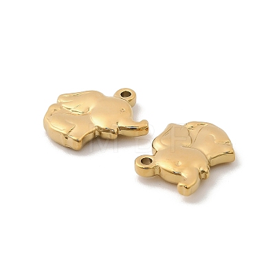 304 Stainless Steel Charms STAS-G358-07G-03-1