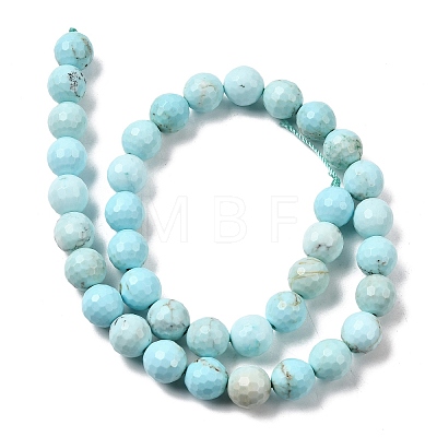 Natural Magnesite Beads Strands G-P598-E-10mm-01-1