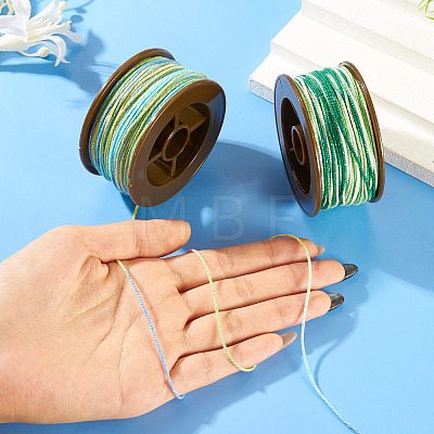 2 Rolls 2 Colors Segment Dyed Round Polyester Twisted Cords OCOR-TA0003-59A-1