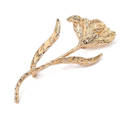 Alloy Brooch Pins AL-CBAF606-03G-1