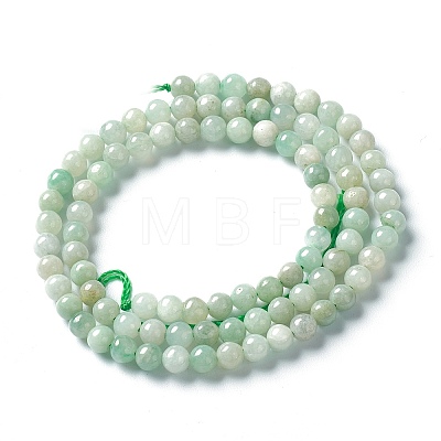 Natural Jadeite Beads Strands X-G-L568-001C-1