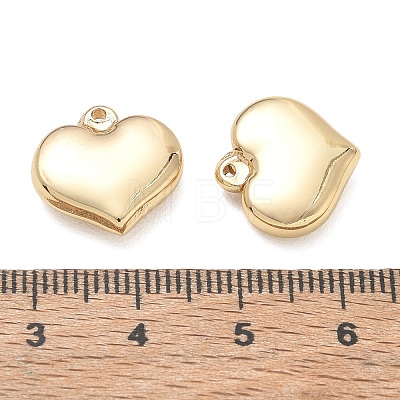 304 Stainless Steel Charms SA-CBA3037-20G-12-1