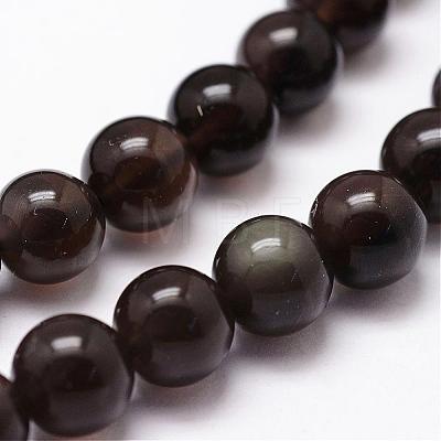 Natural Obsidian Beads Strands G-D838-12mm-02-1