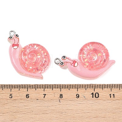 Transparent & Opaque Resin Pendants RESI-P048-02B-P-1