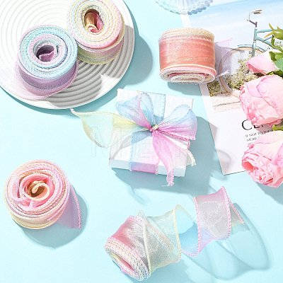 Polyester Organza Ribbon SRIB-FZC0001-001E-1