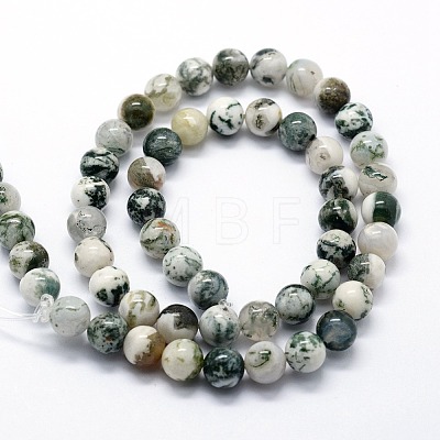 Natural Tree Agate Beads Strands G-I199-03-4mm-1