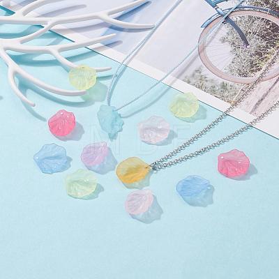 Transparent Frosted Acrylic Pendants X-MACR-S371-01A-1