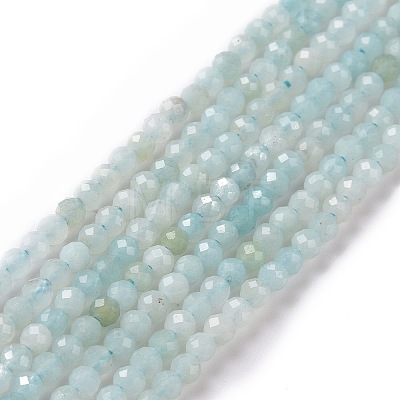 Natural Amazonite Beads Strands G-E351-10A-1