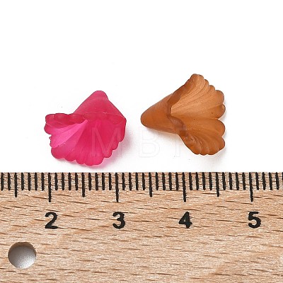 Transparent Acrylic Beads PL622M-1