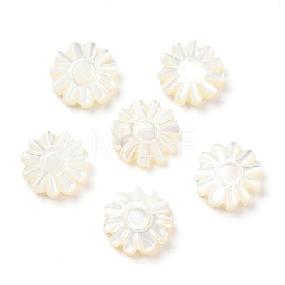 Natural Trochid Shell/Trochus Shell Beads SSHEL-R145-01-1