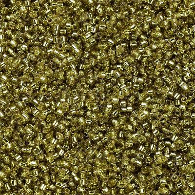 MIYUKI Delica Beads SEED-X0054-DB2164-1