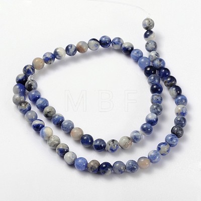 Natural Sodalite Beads Strand GSR6mmC013-1