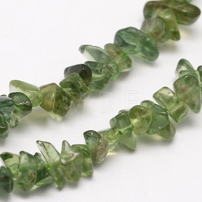 Chips Natural Green Apatite Beads Strands G-N0164-26-1