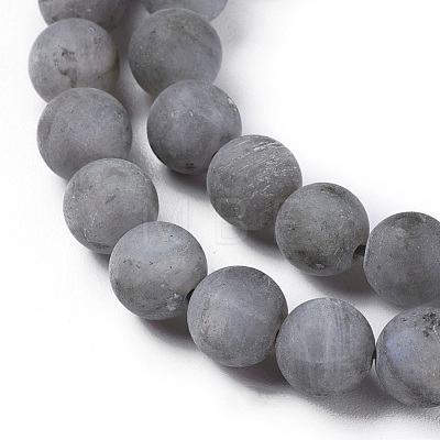 Natural Labradorite Beads Strands G-I218-02-1