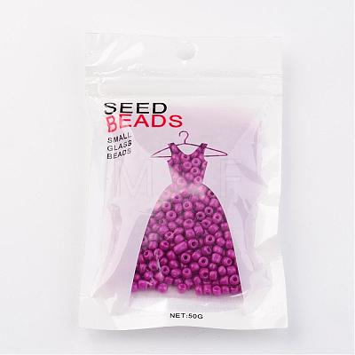 6/0 Baking Paint Glass Seed Beads X-SEED-S003-K21-1
