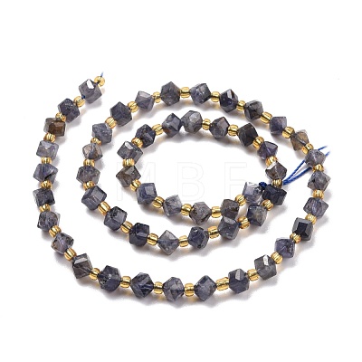Natural Iolite Beads Strands G-P463-42-1