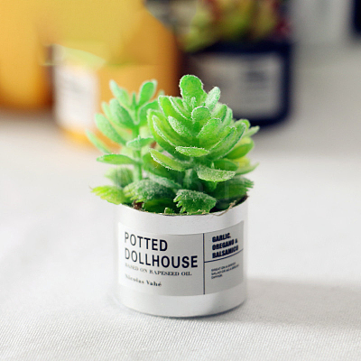 Resin Succulents Pot Model WG57627-02-1