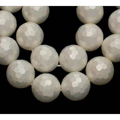 Shell Pearl Beads Strands X-SP034-12mm-1