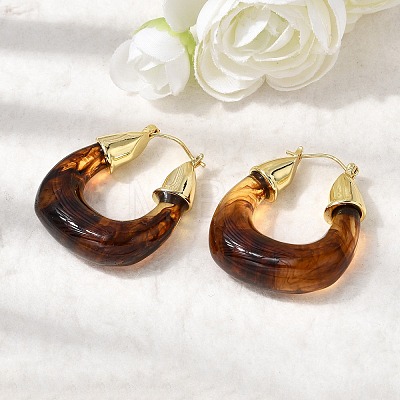 Brass Resin Hoop Earrings EJEW-P333-11D-G02-1
