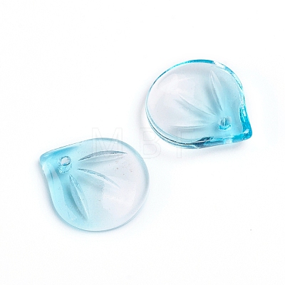 Transparent Glass Charms GLAA-H016-05E-25-1