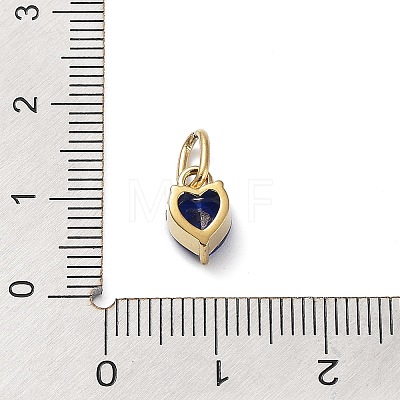 316 Stainless Steel Micro Pave Cubic Zirconia Charms ZIRC-P108-01G-C-1