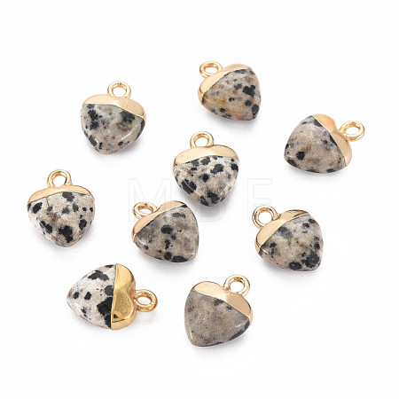 Natural Dalmatian Jasper Charms G-N326-121-01-1