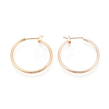 304 Stainless Steel Hoop Earrings EJEW-T048-25C-G-1