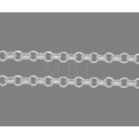 Iron Rolo Chain CH-S078-G-FF-1