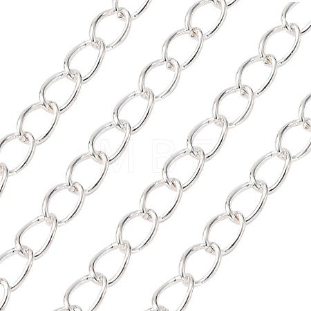 Iron Twisted Chains CH-0.8DK-S-1