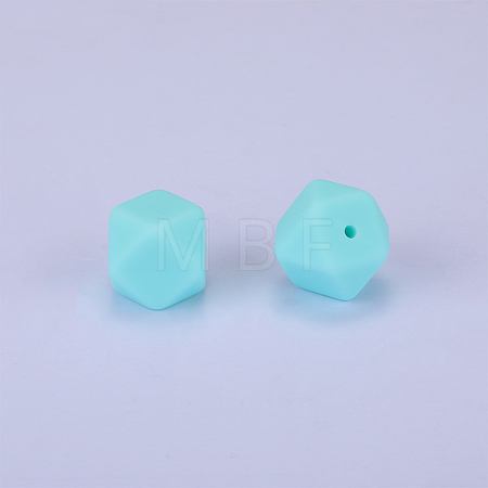 Hexagonal Silicone Focal Beads LS-SI-JX0020A-82-1