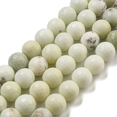 Natural Dendritic Jasper Beads Strands G-E571-A05-03-1