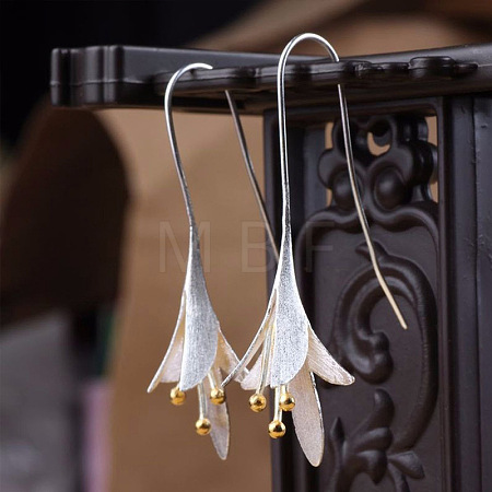 Valentine's Day Alloy Dangle Earrings WGA07D2-01-1