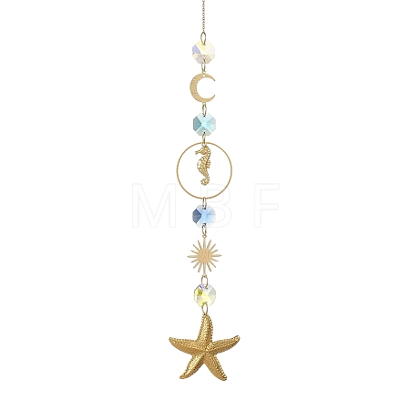 304 Stainless Steel Starfish Sea Horse Hanging Suncatchers HJEW-JM05039-1