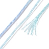 10 Skeins 6-Ply Polyester Embroidery Floss OCOR-K006-A11-3