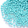 6/0 Baking Paint Glass Round Seed Beads SEED-S036-01C-13-1