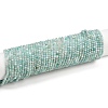 Natural Amazonite Bead Strands X-G-P279-42-2mm-01-2