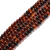 Natural Carnelian Beads Strands G-B079-A03-01-1