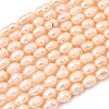 Natural Cultured Freshwater Pearl Beads Strands PEAR-F020-05A-2