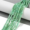 Natural Chrysoprase Beads Strands G-B088-E19-02-2