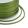 Polyester Braided Cords OCOR-I006-A01-36-3