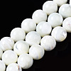 Natural Trochid Shell/Trochus Shell Beads Strands SSHEL-S266-023A-04-1