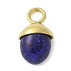 304 Stainless Steel Dyed Natural Lapis Lazuli Pendants STAS-L277-07G-06-1