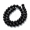 Natural Black Onyx Beads Strands G-Z024-01A-2