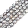 Natural Cultured Freshwater Pearl Beads Strands PEAR-P064-20J-04E-2